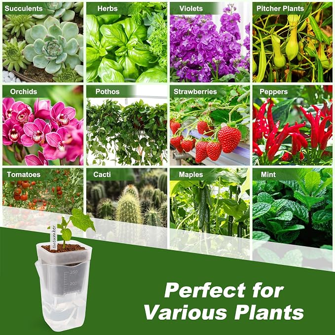 12 Pack Self Watering Pots Set for Indoor Plants, 2.5" Small Clear Self - Image 7