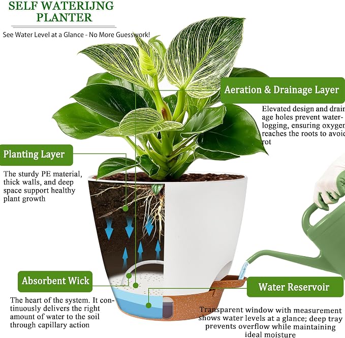 Self Watering Pots for Inoor Ourdoor Plants 10/9/8/7/6.5 Inch Plastic Planters - Image 6