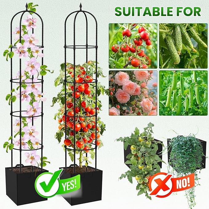 Garden Obelisk Trellis for Climbing Plants - Image 5