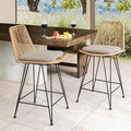 IDZO Rattan Counter Height Bar Stools, 36.5" Tall, 400lbs Capacity, Durable by Idzo