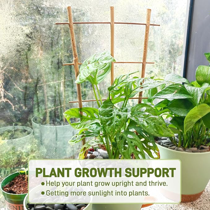 Avalution 10 Pack Bamboo Trellis - Image 2