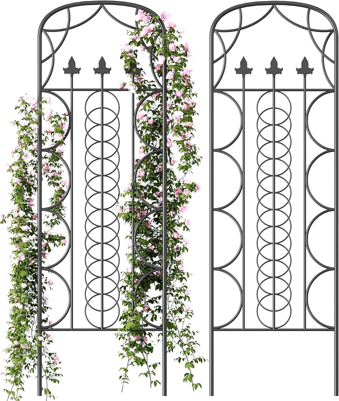 Idzo 71 in. Decorative Metal Trellis by Idzo