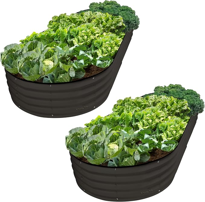 Plant & Plot Galvanized Raised Garden Beds Outdoor // 8×4×1 ft Planter Raised by PlantPlot