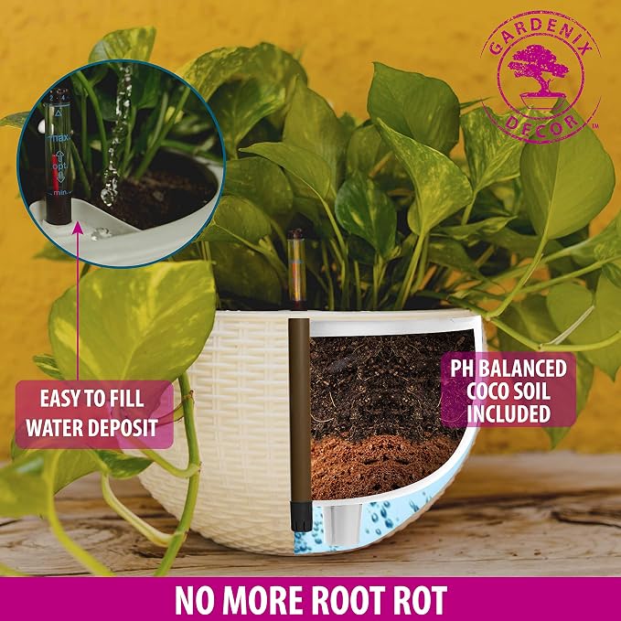 GARDENIX DECOR 11'' Self Watering Hanging planters - Image 4