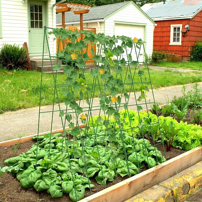 Cucumber Trellis 2 Pack, Foldable A-Frame Garden Trellis - Image 2