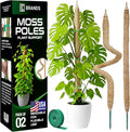 2 Pack 28'' Bendable Moss Pole Monstera Plant Support by K-BRANDS