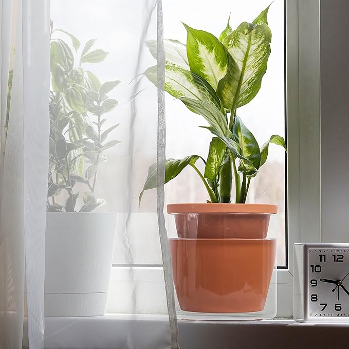 D'vine Dev 6 Inch Design Self Watering Pot - Image 5