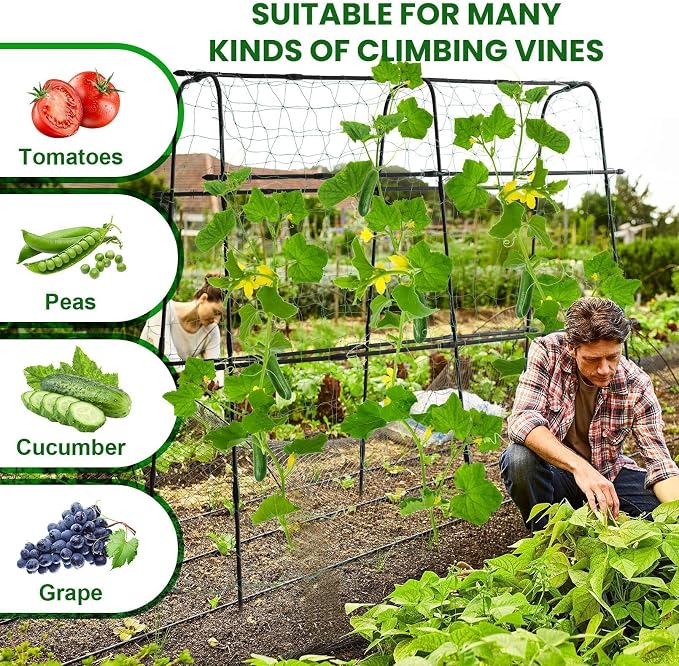 Garden Trellis for Climbing Plants Outdoor, 5.3x5.3ft Garden Trellis Climbing - Image 3