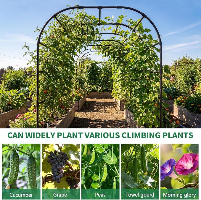 SUNYRISY Garden Arch Trellis for Climbing Plants Outdoor - Image 7