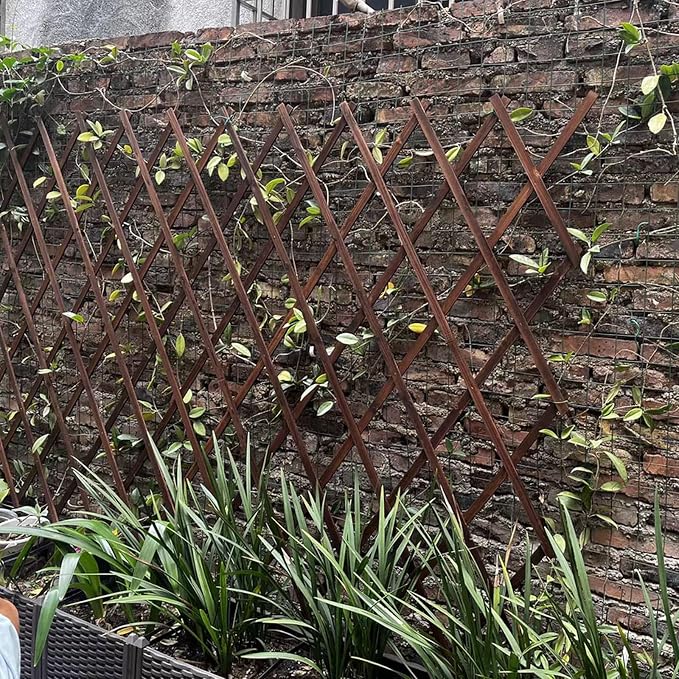 Expandable Garden Trellis, Wooden Lattice Fence Wall Panel Lattice Panels - Image 9