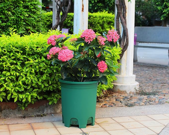 5 Gallon 6-Pack Green Large Plant Pots Nursery Tree Pot Plastic Planters - Image 5