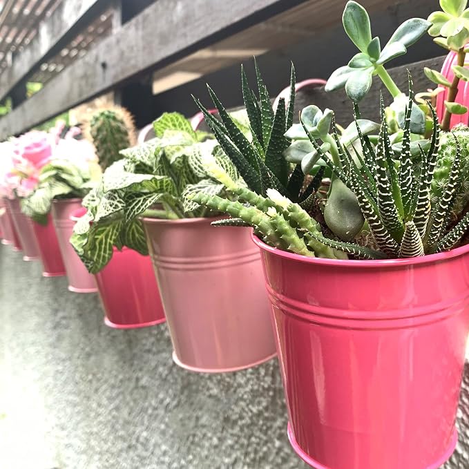LaLaGreen Railing Planters Outdoor -10 Pack, 4 Inch Metal Hanging Flower Bucket - Image 4