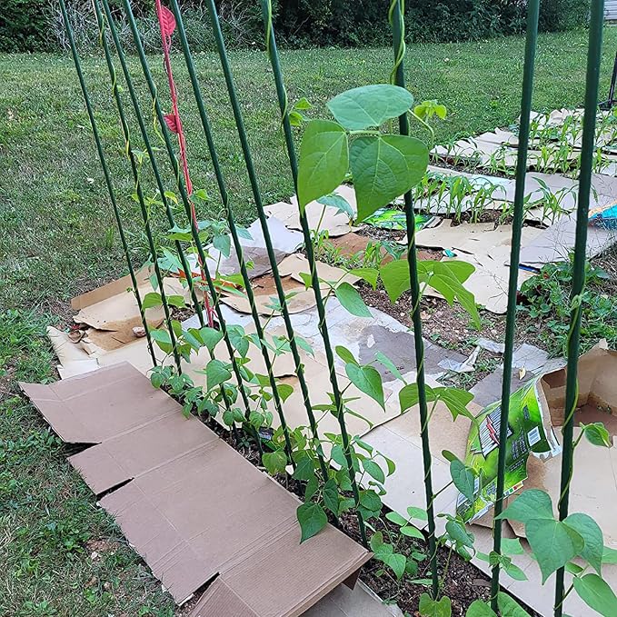 Garden Plant Stakes 57 Inch Tomato Stakes, 20 Pack Steel Plant Stick Support - Image 5