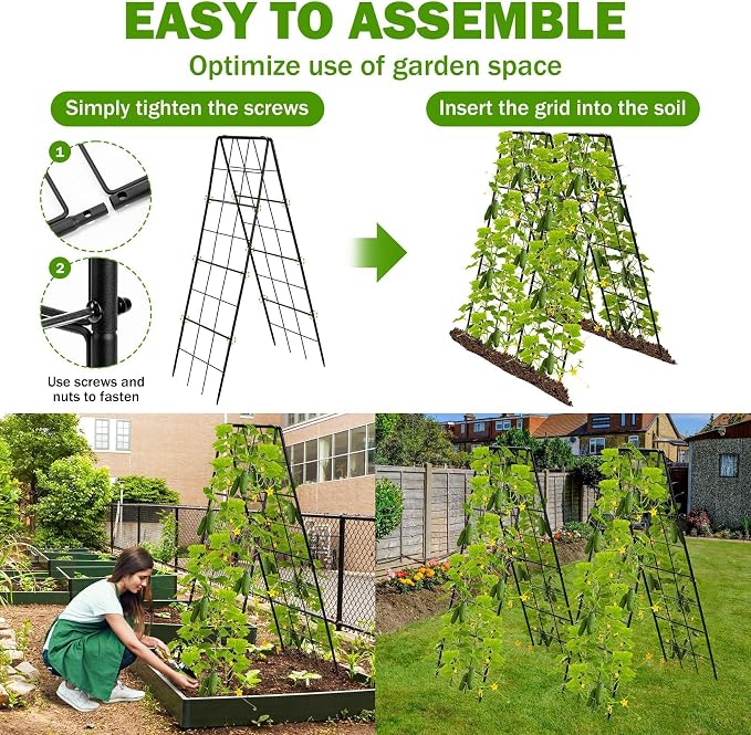 2 Pack 50" Tall A Frame Trellis - Image 6