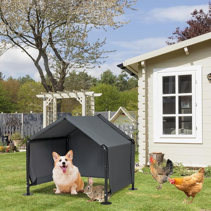 Dog Shades for Outside - Image 8