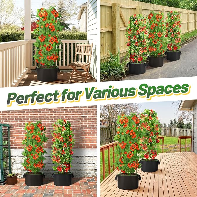 ANPHSIN 3 Sets Tomato Cages - Image 6