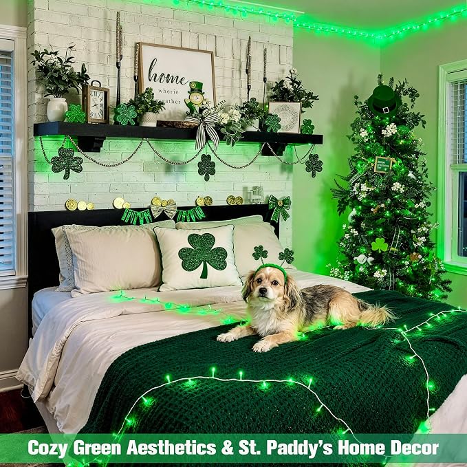 JMEXSUSS Green St Patricks Day Lights Indoor Outdoor Clear Wire, 200 LED Green - Image 6
