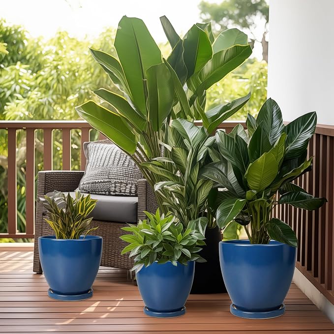 6.8 Inch Plant Pot - Image 8