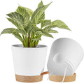 FaithLand 2-Pack 8 Inch Planter Pots by FaithLand