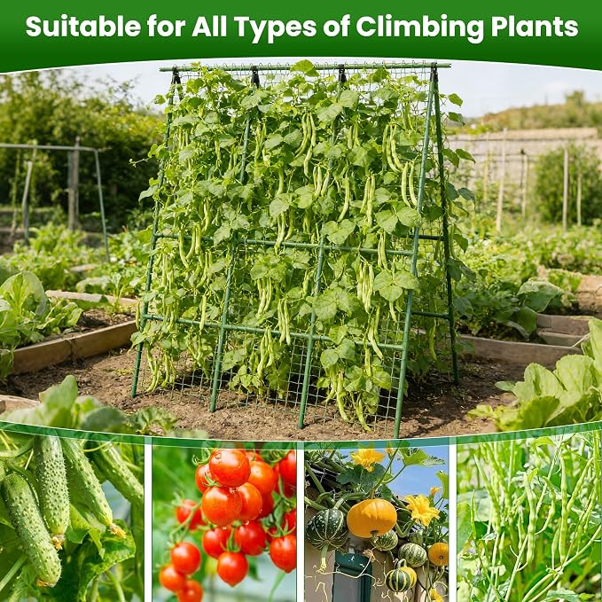 Cucumber Trellis for Raised Bed 48" L x 64" H, 16mm Heavy-Duty Metal A-Shape - Image 7