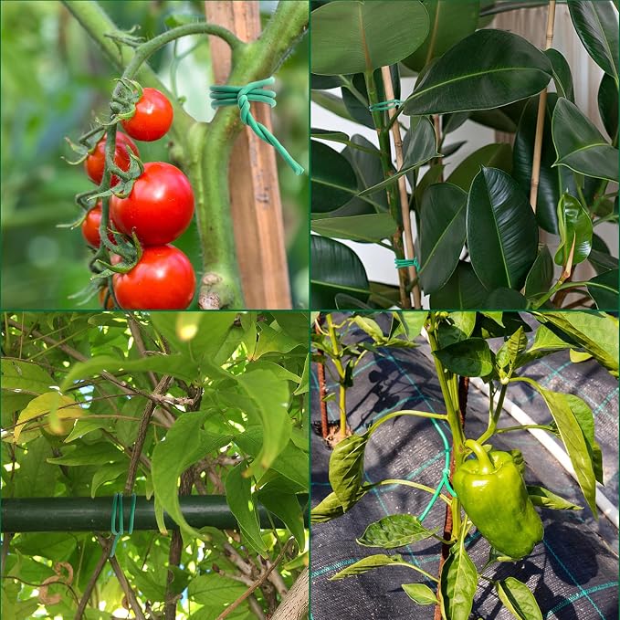 YMHB 120 Feet Green Soft Twist Tie Tomato Plant Tie, Garden Wire Green Twist - Image 3
