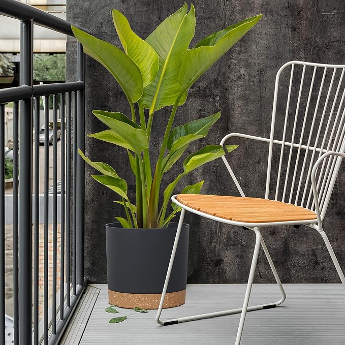 kubvici Plant Pots for Indoor Plants, 2 Pack 12 Inch Pots for Plants, - Image 4