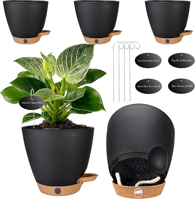 6 Inch Self Watering Pots for Indoor Plants – Small Plastic Planters by Fielda