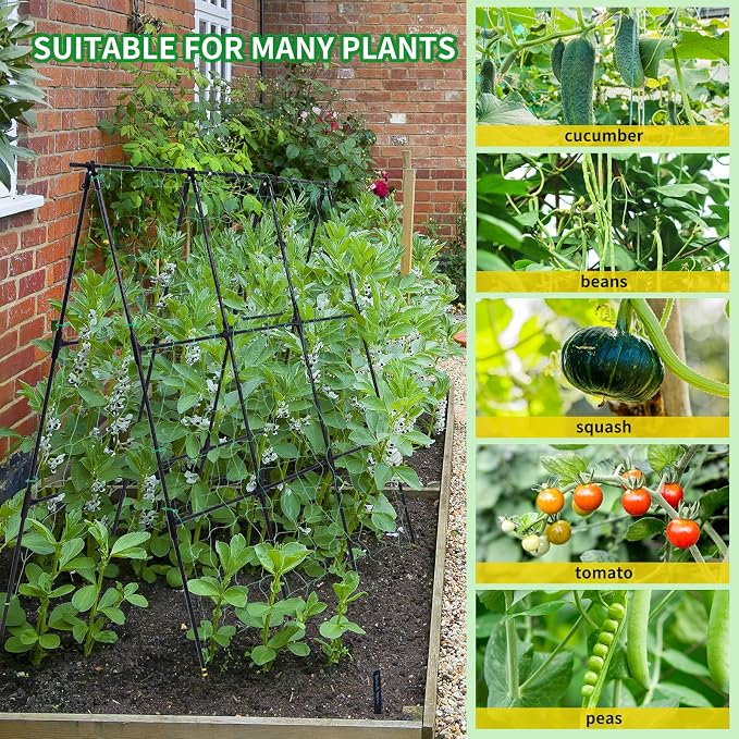 Garden Cucumber Trellis for Climbing Plants Outdoor, 50x48 inch A Frame - Image 3