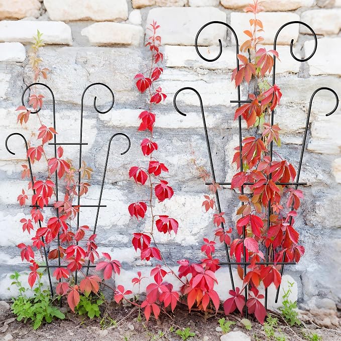 4 Pack 43'' Indoor Plant Trellis - Image 3