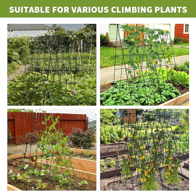 Cucumber Trellis 2 Pack, Foldable A-Frame Garden Trellis - Image 9