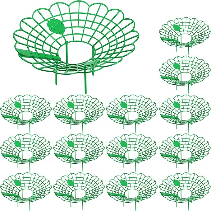 Iceyyyy 15 Pack Strawberry Plant Stand Supports-Strawberry Plant Support Stand by Iceyyyy