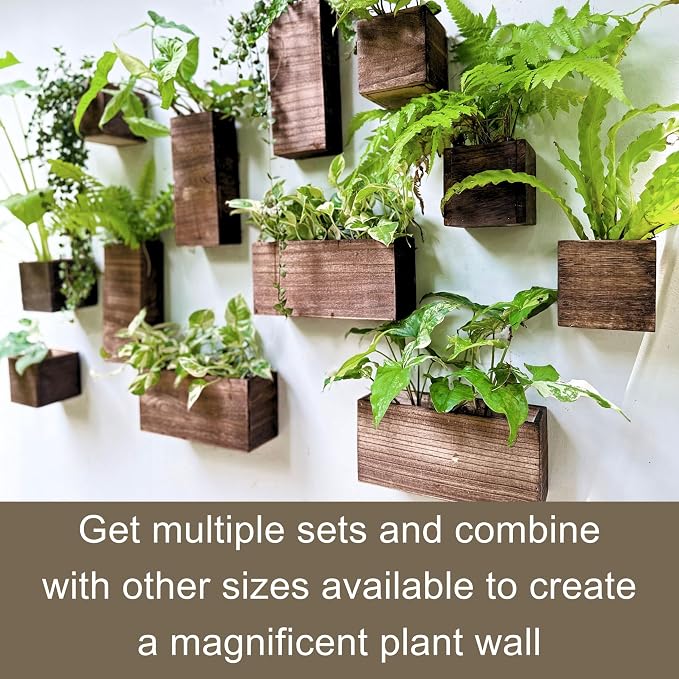 LaLaGreen Wood Planter Box for Plants Wooden Hanging Wall Planters for Indoor - Image 3