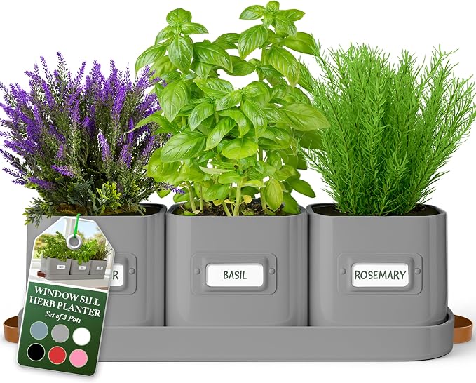 volila Herb Planter Indoor by volila