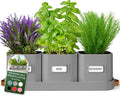 volila Herb Planter Indoor by volila