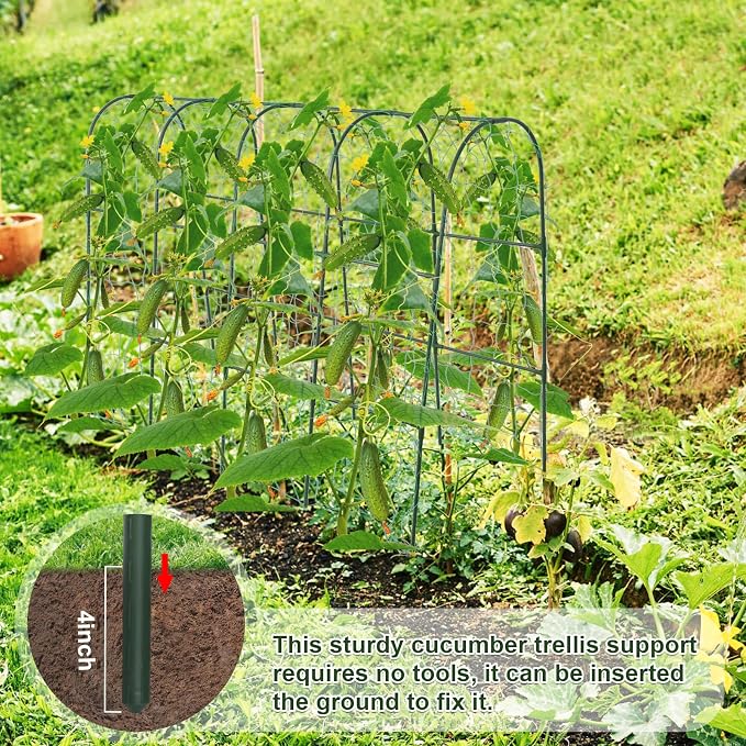 iGreely Cucumber Trellis for Raised Bed, U-Shape Garden Arch Metal Support for - Image 5