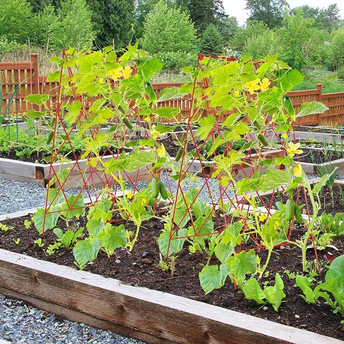 Cucumber Trellis 2 Pack, Foldable A-Frame Garden Trellis - Image 9