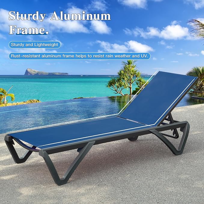 Domi Pool Lounge Chairs Set of 2 - Image 4