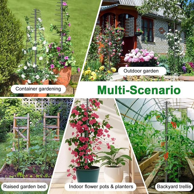 Spiral Frame Trellis for Climbing Plants Outdoor Indoor - Image 8