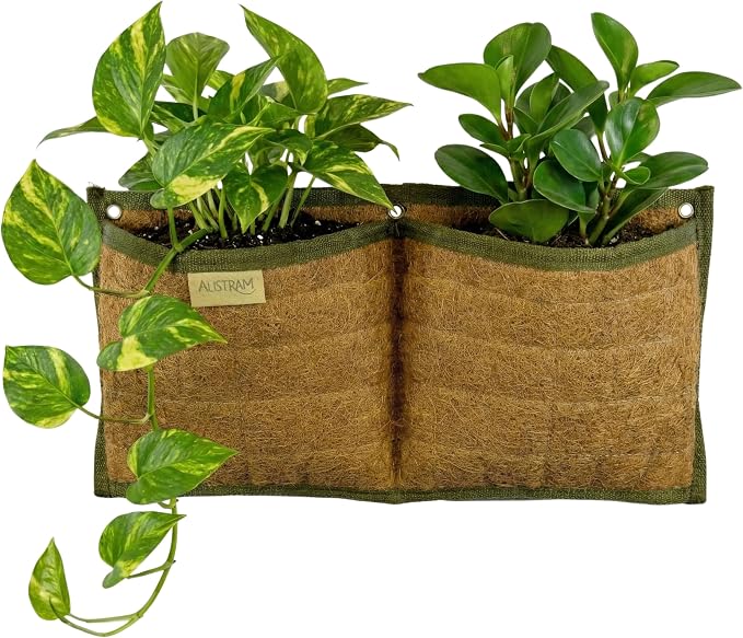 Wall Hanging Planter, 2 Pocket, Hanging herb Planter, wall Mounted Plant Holder by Austram