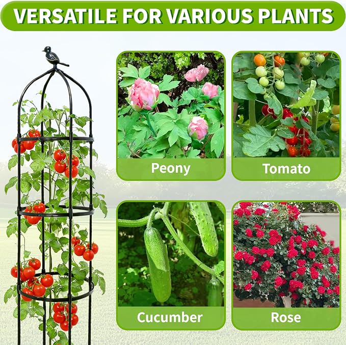 2-Pack 6.7FT Garden Obelisk Trellis - Image 6