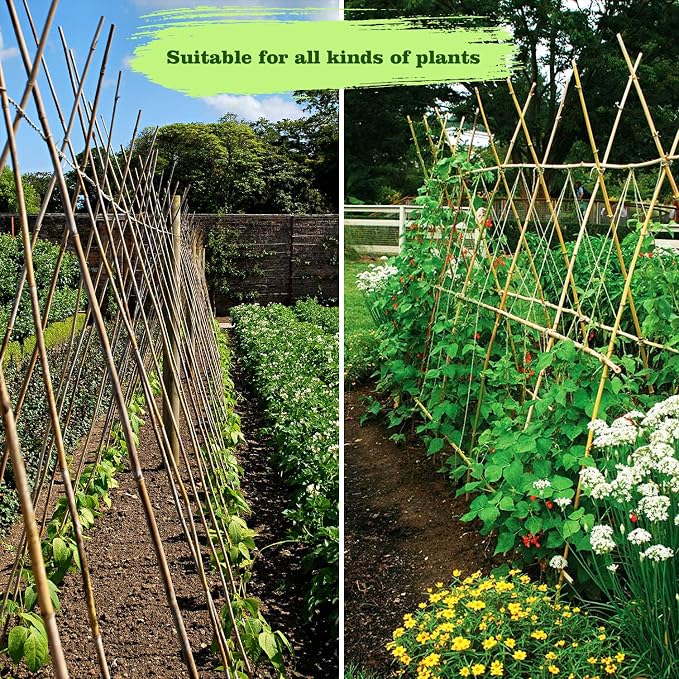 25pcs 1/2" D Thicker Heavy Duty Bamboo Stakes, 4FT Plant Stakes, Natural Garden - Image 8