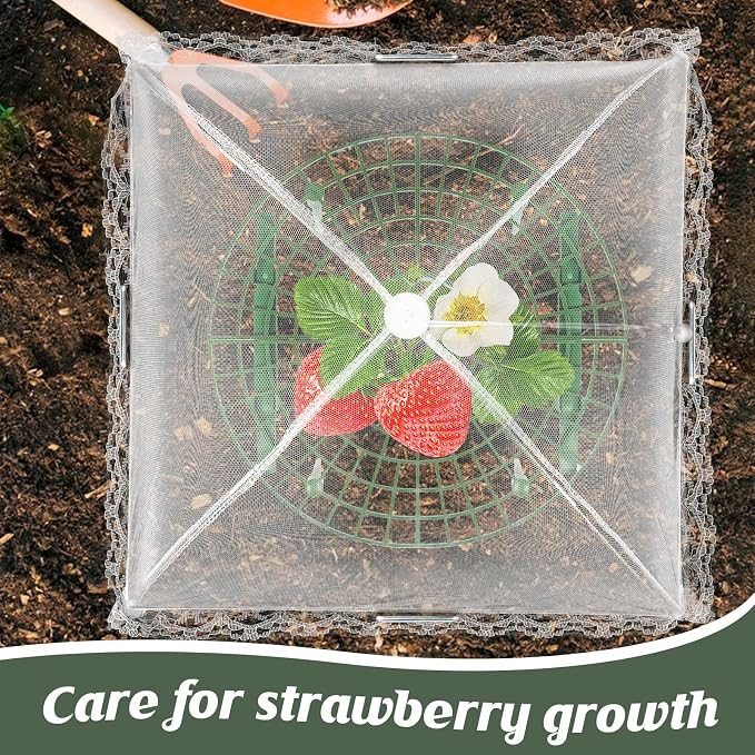 4 Sets Strawberry Plant Support - Image 5