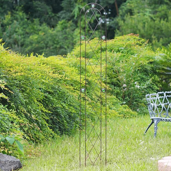 Arcadia Garden Products TR03 Arched Garden Trellis 6' x 10" - Image 2