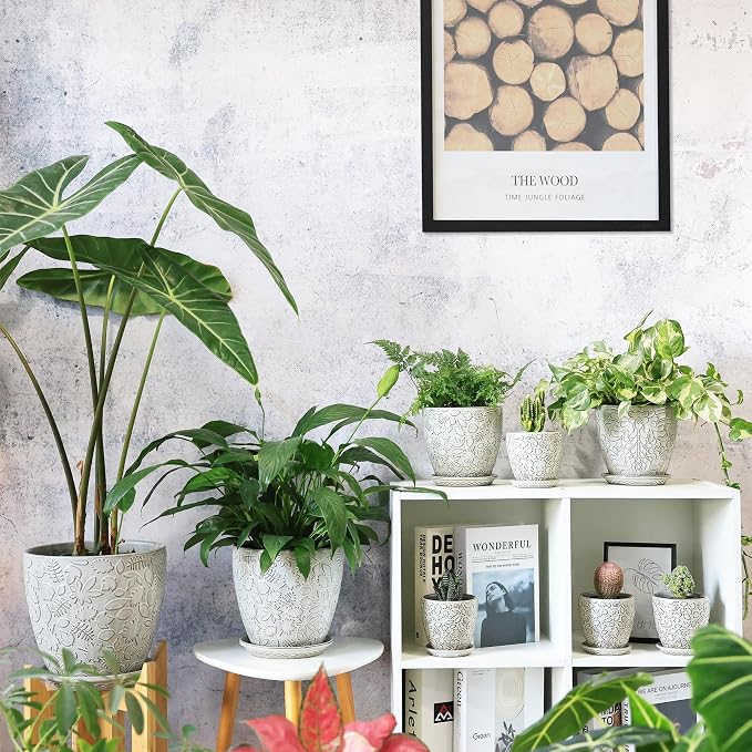 6 Inch Ceramic Planter Pots - Image 7