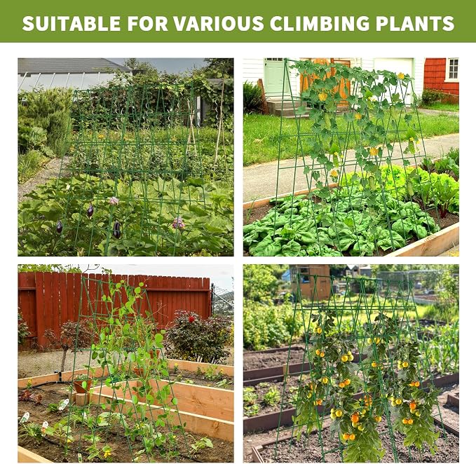 Cucumber Trellis 2 Pack, Foldable A-Frame Garden Trellis - Image 8