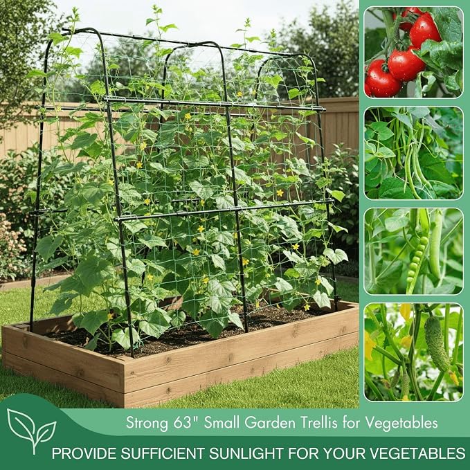 Cucumber Trellis Arch 5.3FT Black PP Coated Stainless Steel Garden Arch Trellis - Image 4