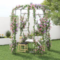 S AFSTAR Birdcage Shape Garden Arch, 9.3' H x 6.5' W Heavy-Duty Wrought Metal by Safstar