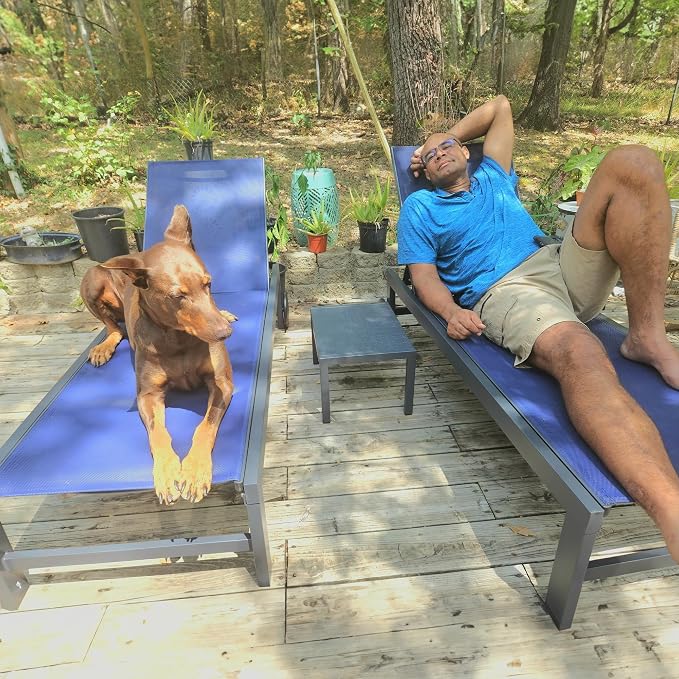 PURPLE LEAF Outdoor Chaise Lounge - Image 8