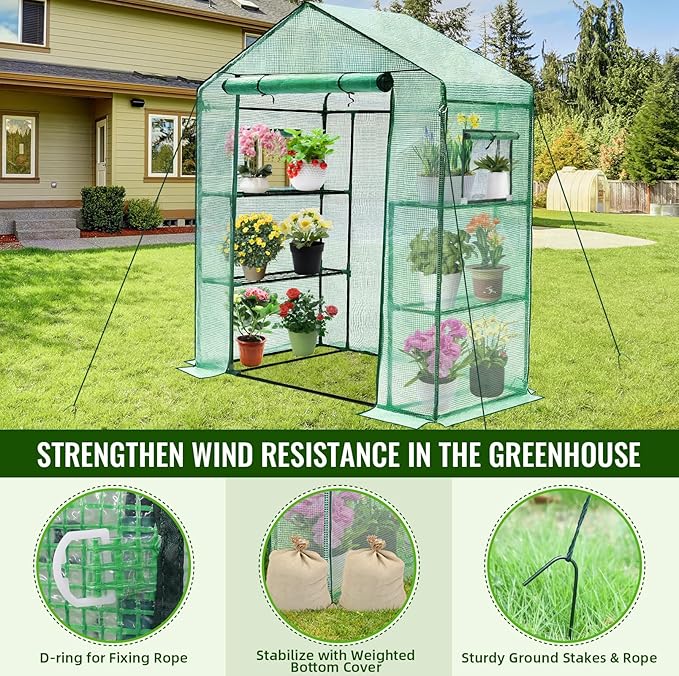 Greengro Greenhouse, Small Plant Green House - Image 3