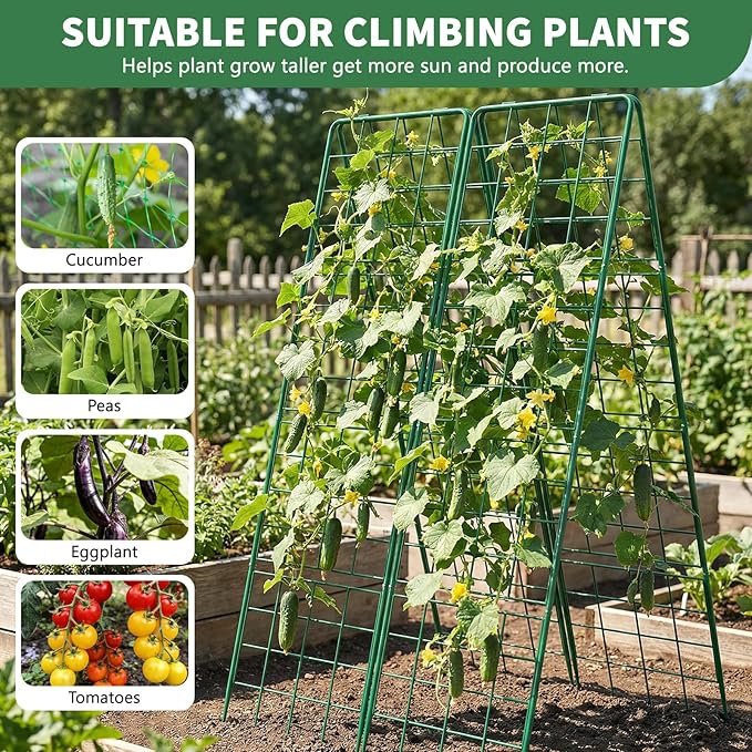 2 Pack Cucumber Trellis, Climbing Plants and Flowers - Image 2